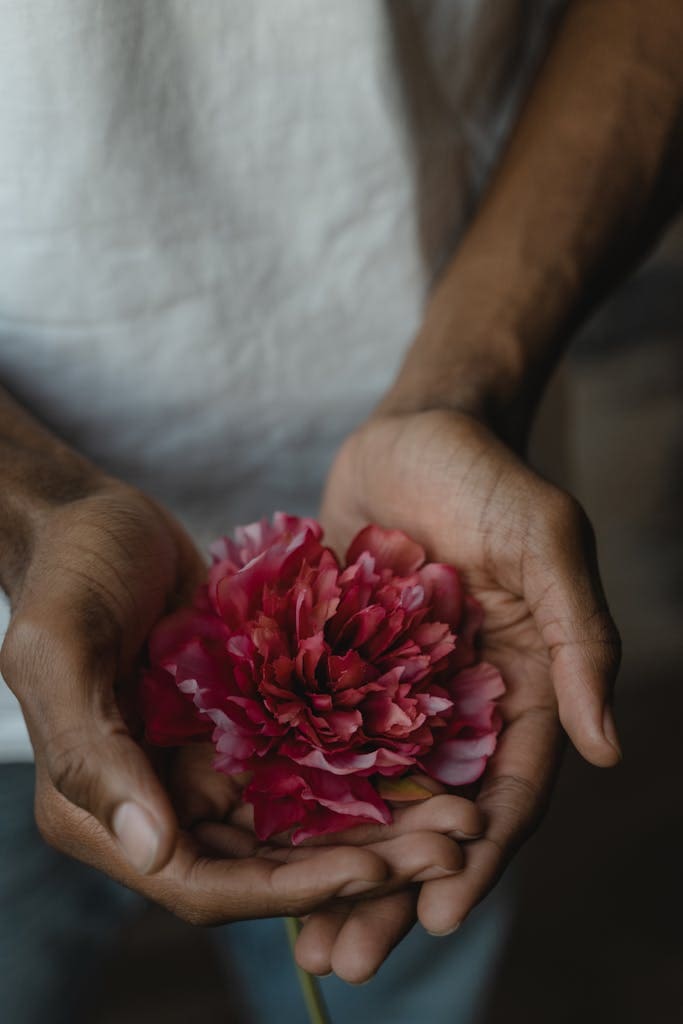 A delicate pink peony flower cradled in adult hands, symbolizing care and fragility.
