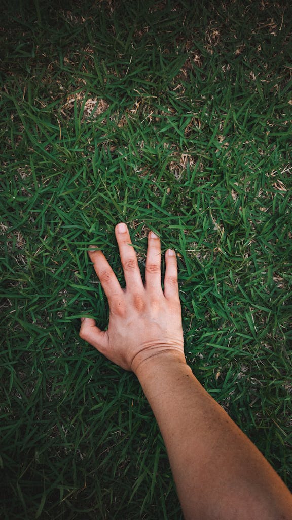 Human hand reaching out to touch vibrant green grass, symbolizing nature and connection.